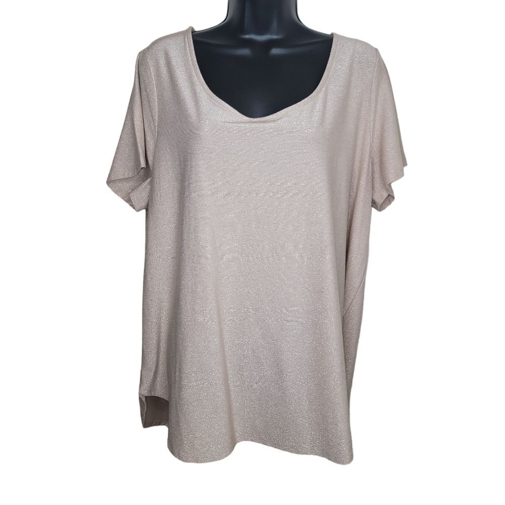 Boutique + Plus shimmer short sleeve top size 1x